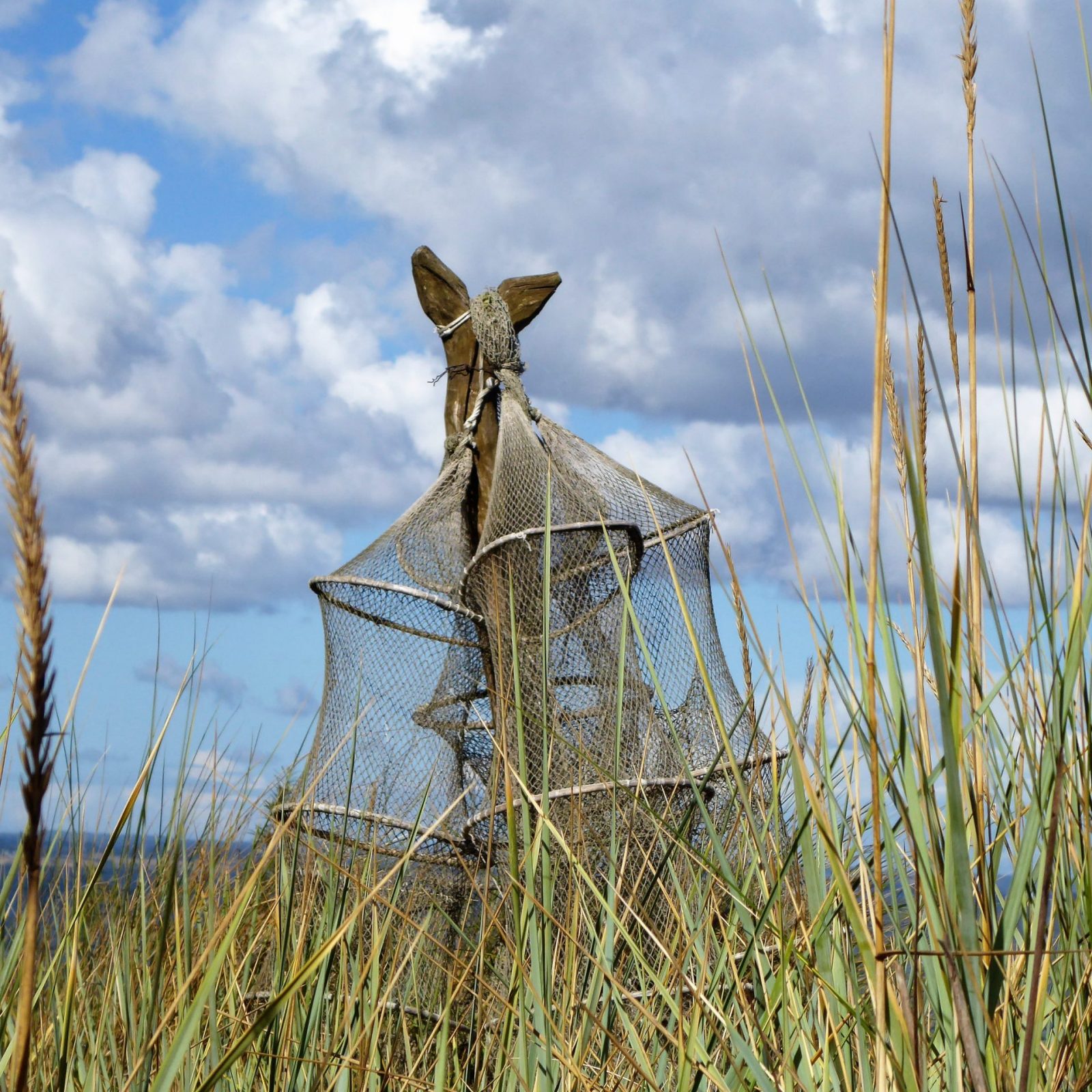 2022-09-20 Niendorf (25)