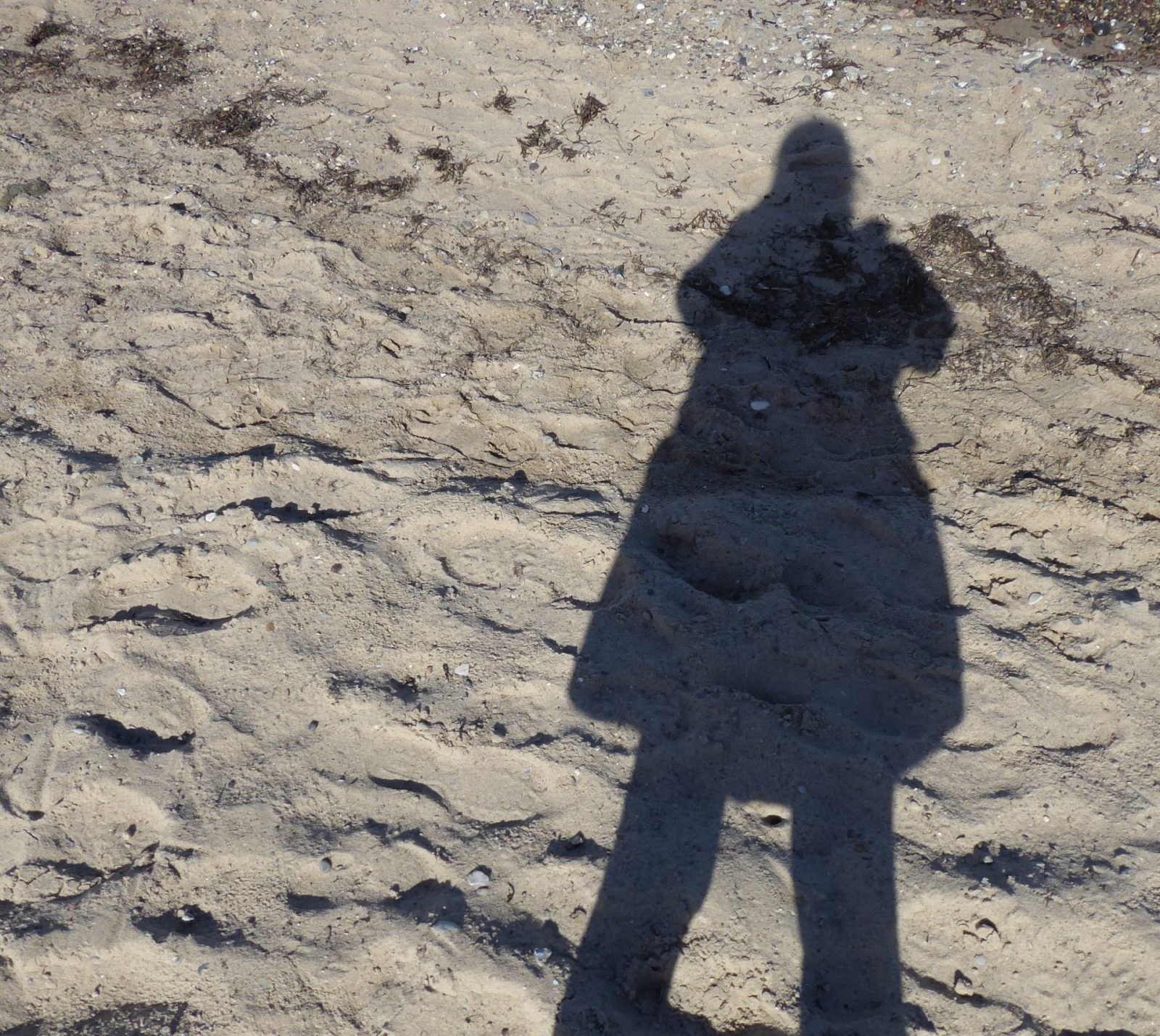 2022-09-20 Niendorf (40)