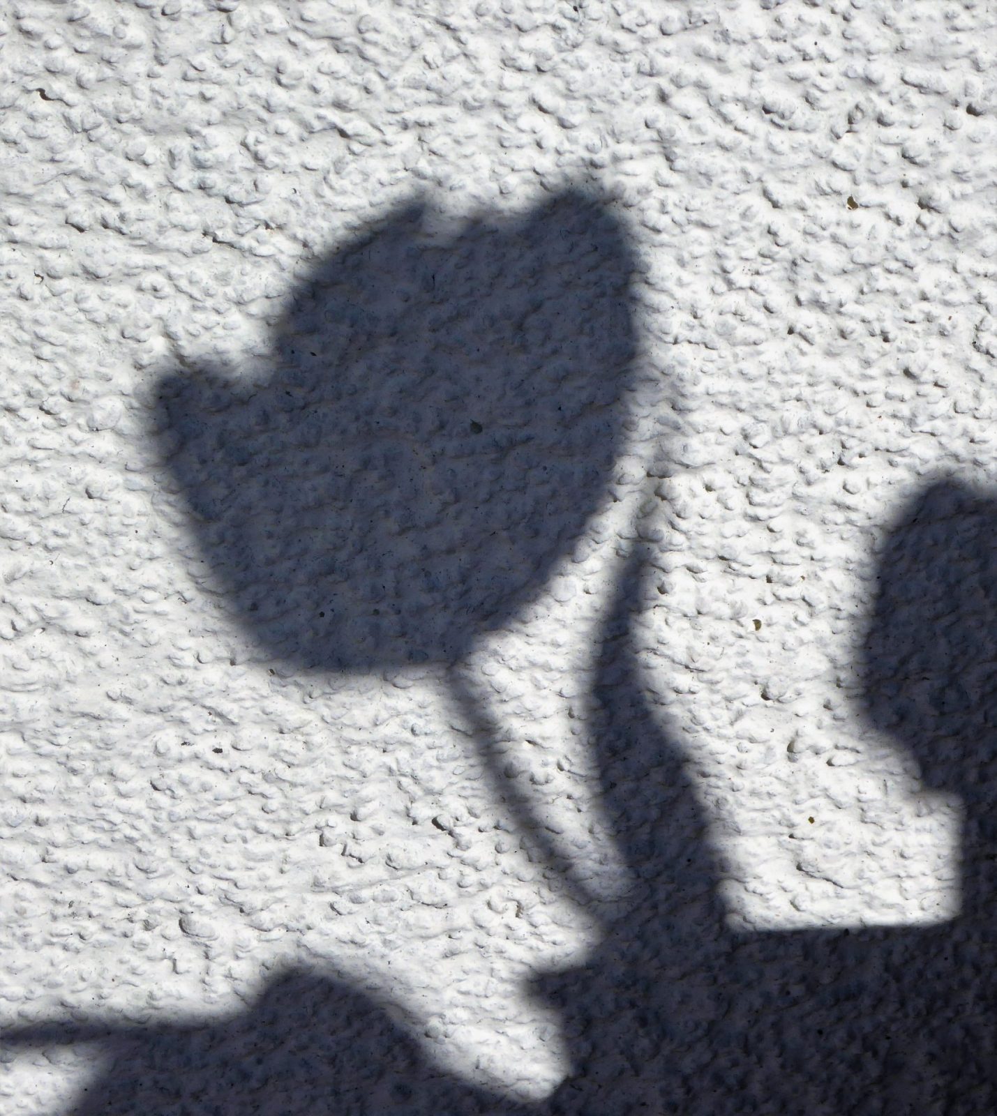 2022-3-27 Terrasse (1)