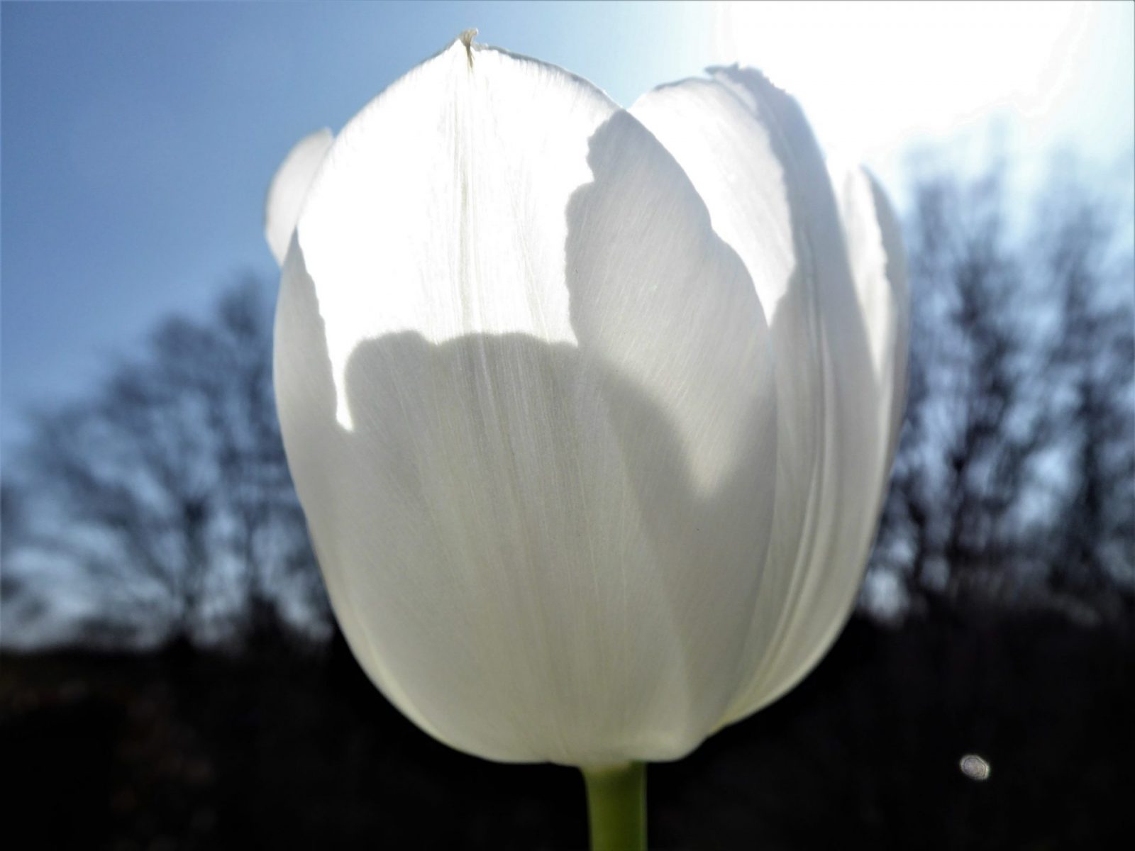 2022-3-27 Terrasse (3)