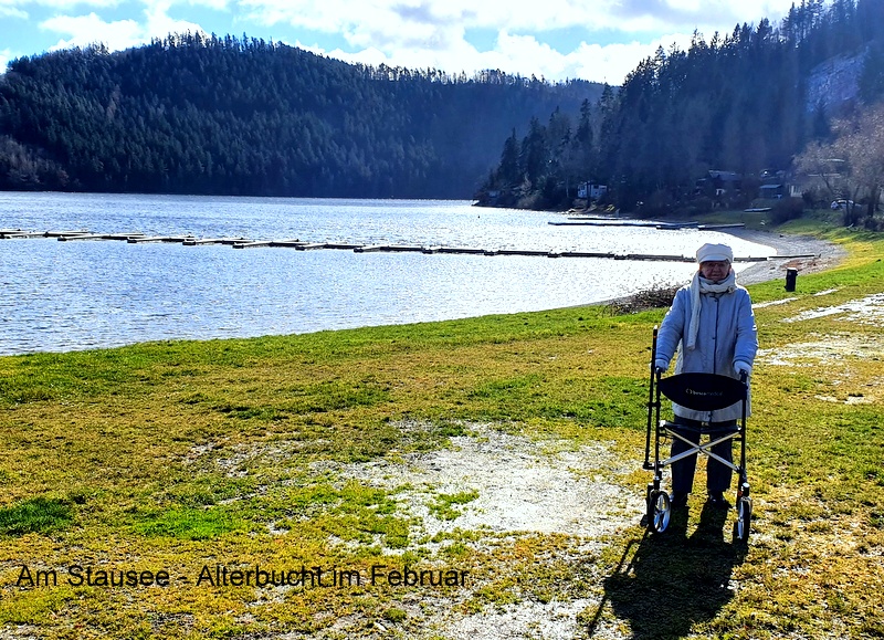 Am Stausee - Alterbucht im Februar.