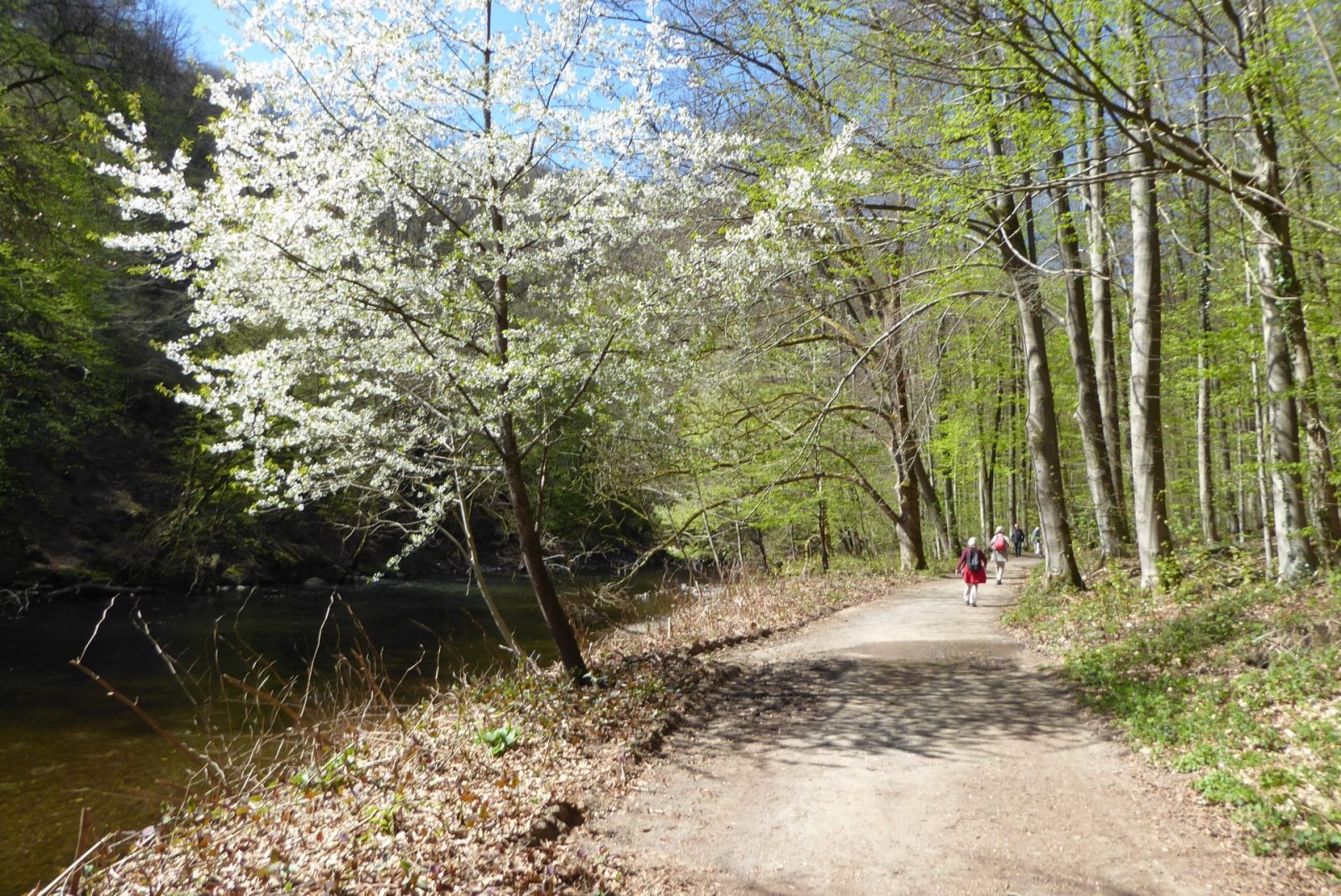 20220418 Müngsten (15)