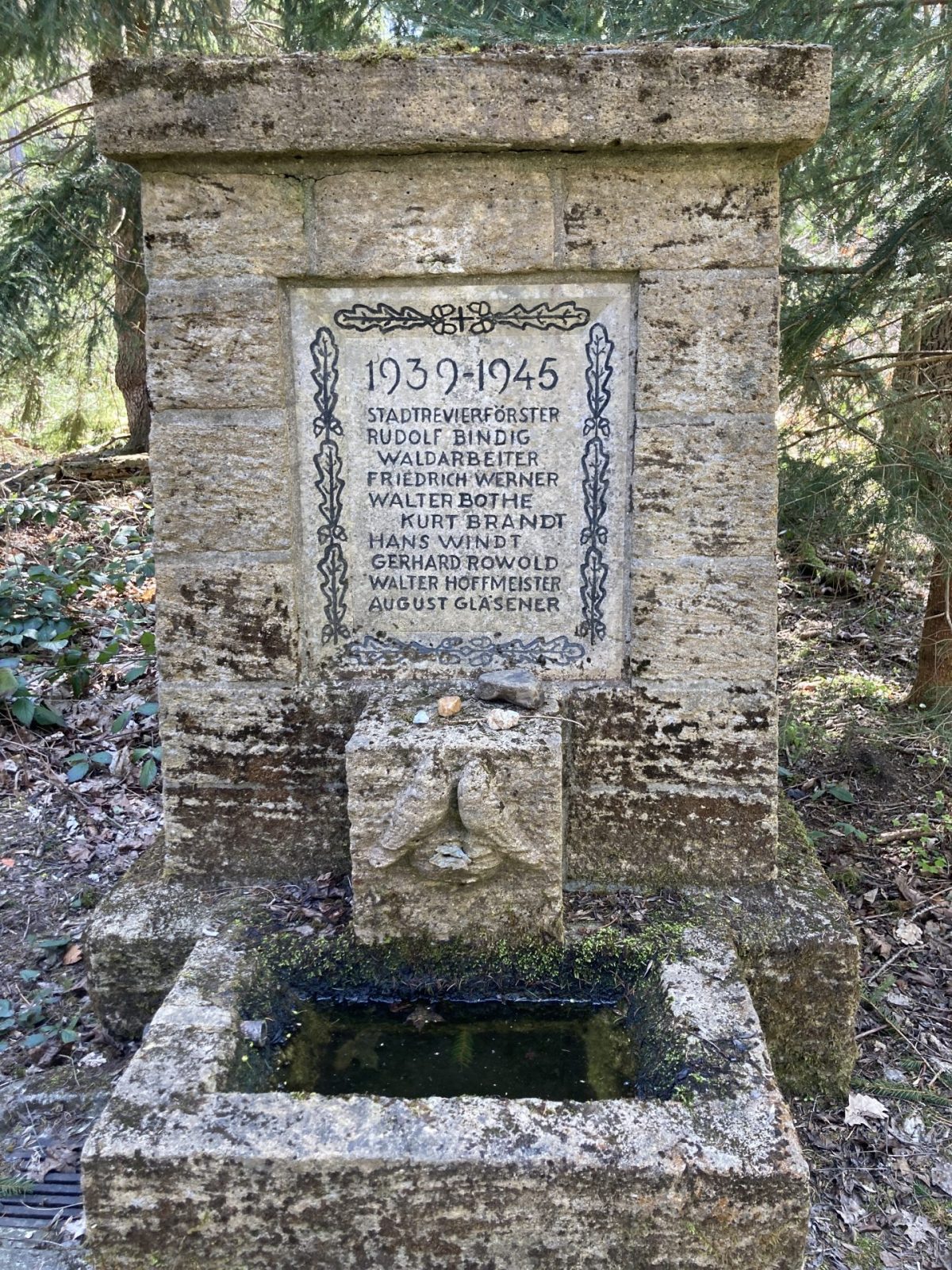 20220423_124335825_iOS