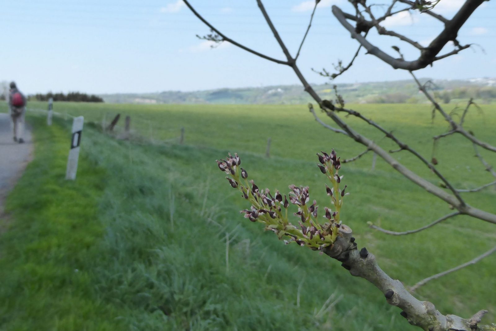 20220424 Neviges (123)