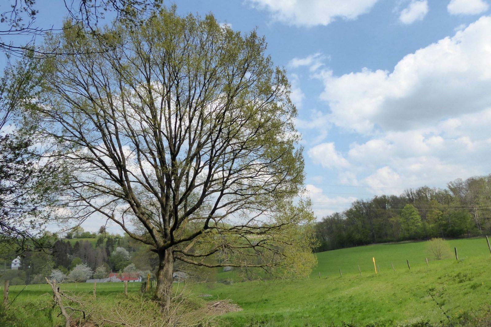 20220424 Neviges (126)