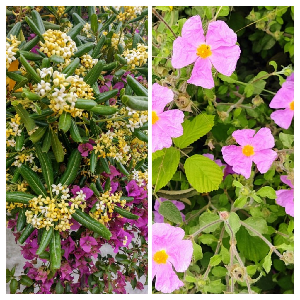 20220502_184258-COLLAGE