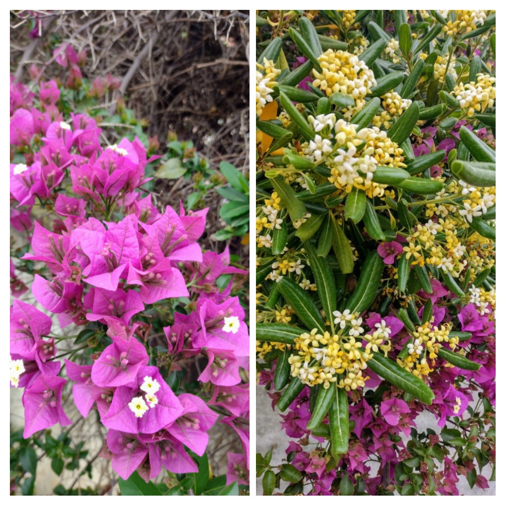 20220502_184405-COLLAGE