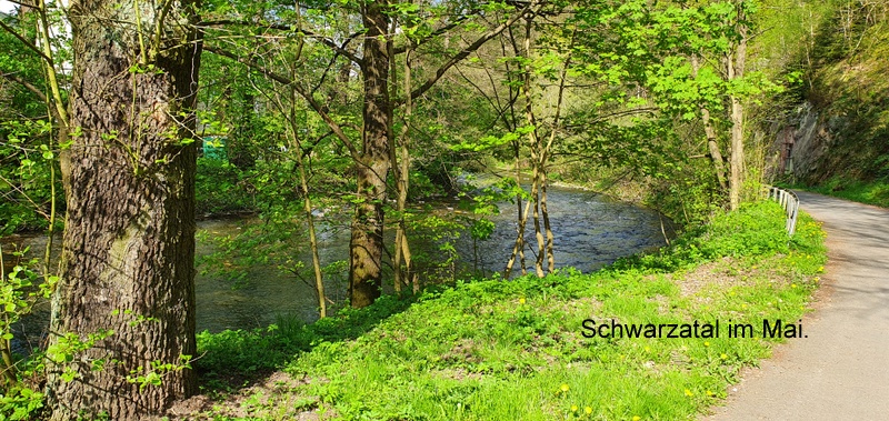 Schwarzatal im Mai.