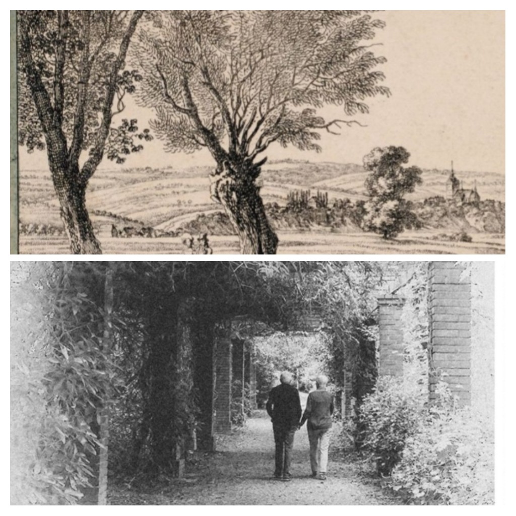 20220528_210634-COLLAGE