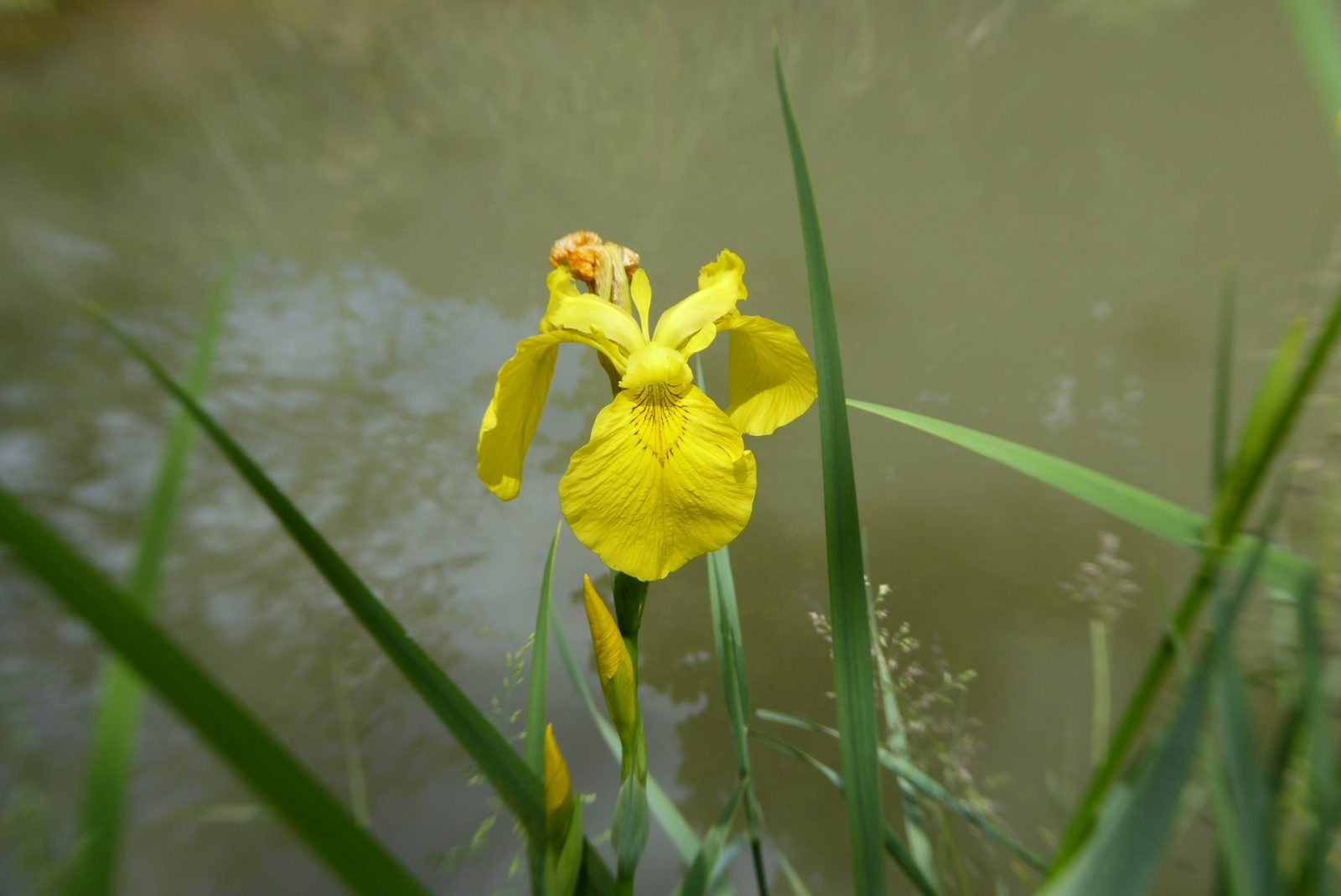 20220603 Sinneswald (159)