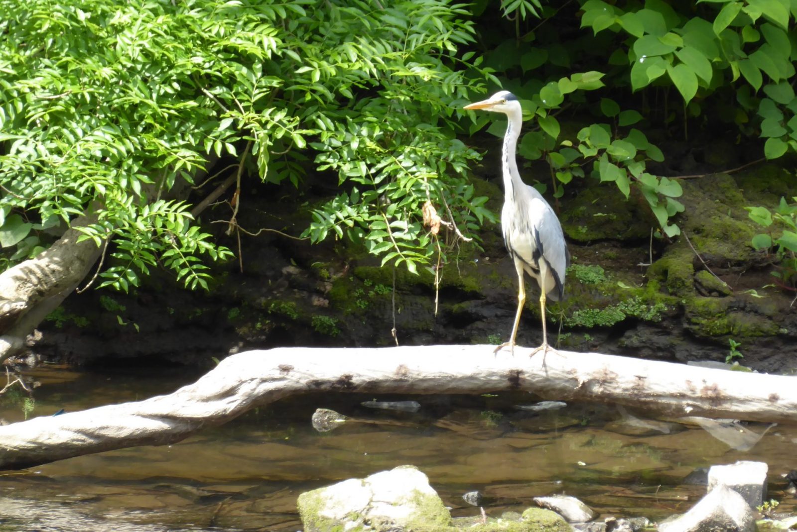 20220604 Müngsten (142)