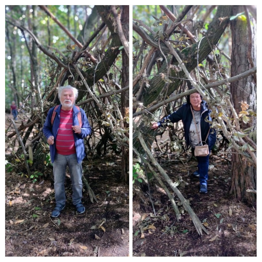 20221005_210545-COLLAGE