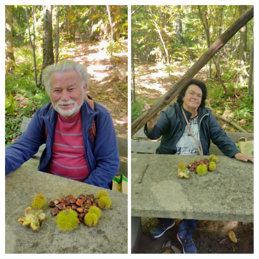 20221005_210713-COLLAGE