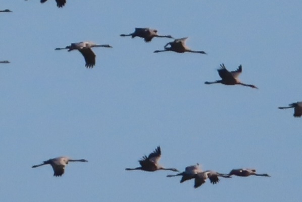 20221010170611_IMG_2194