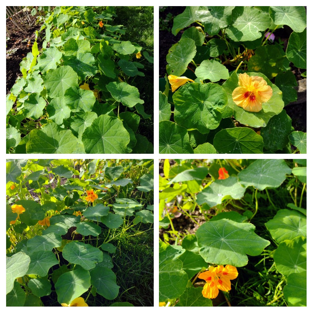 20221030_114649-COLLAGE