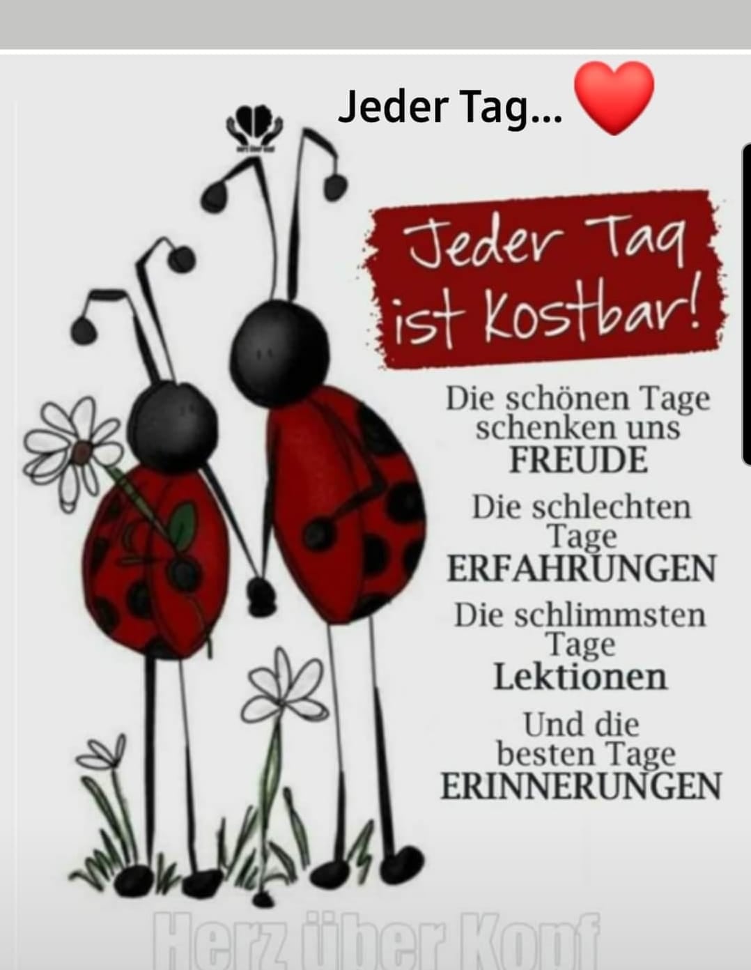 202210923_3994385670611137_3934097526395483293_n