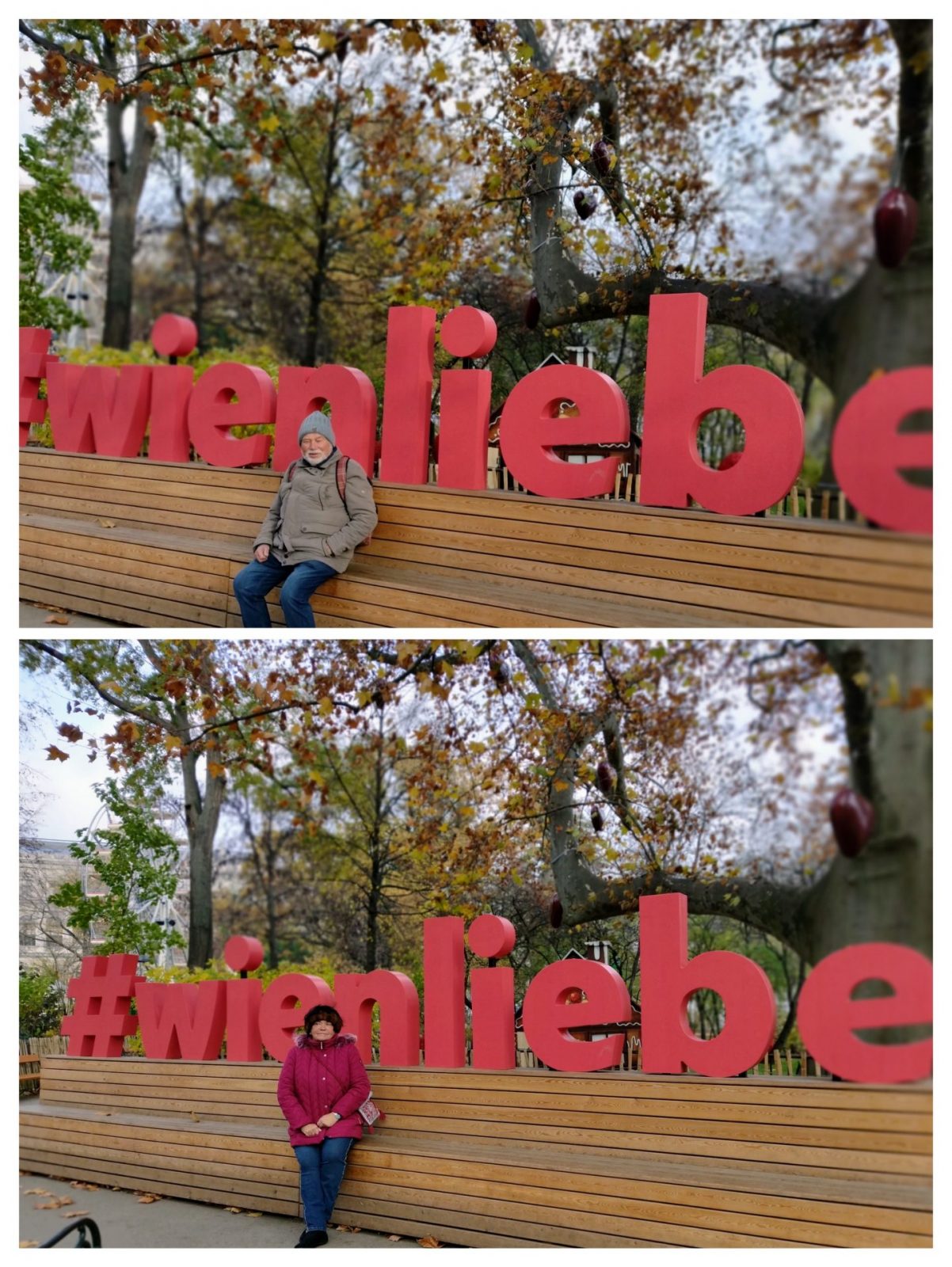 20221129_180438-COLLAGE