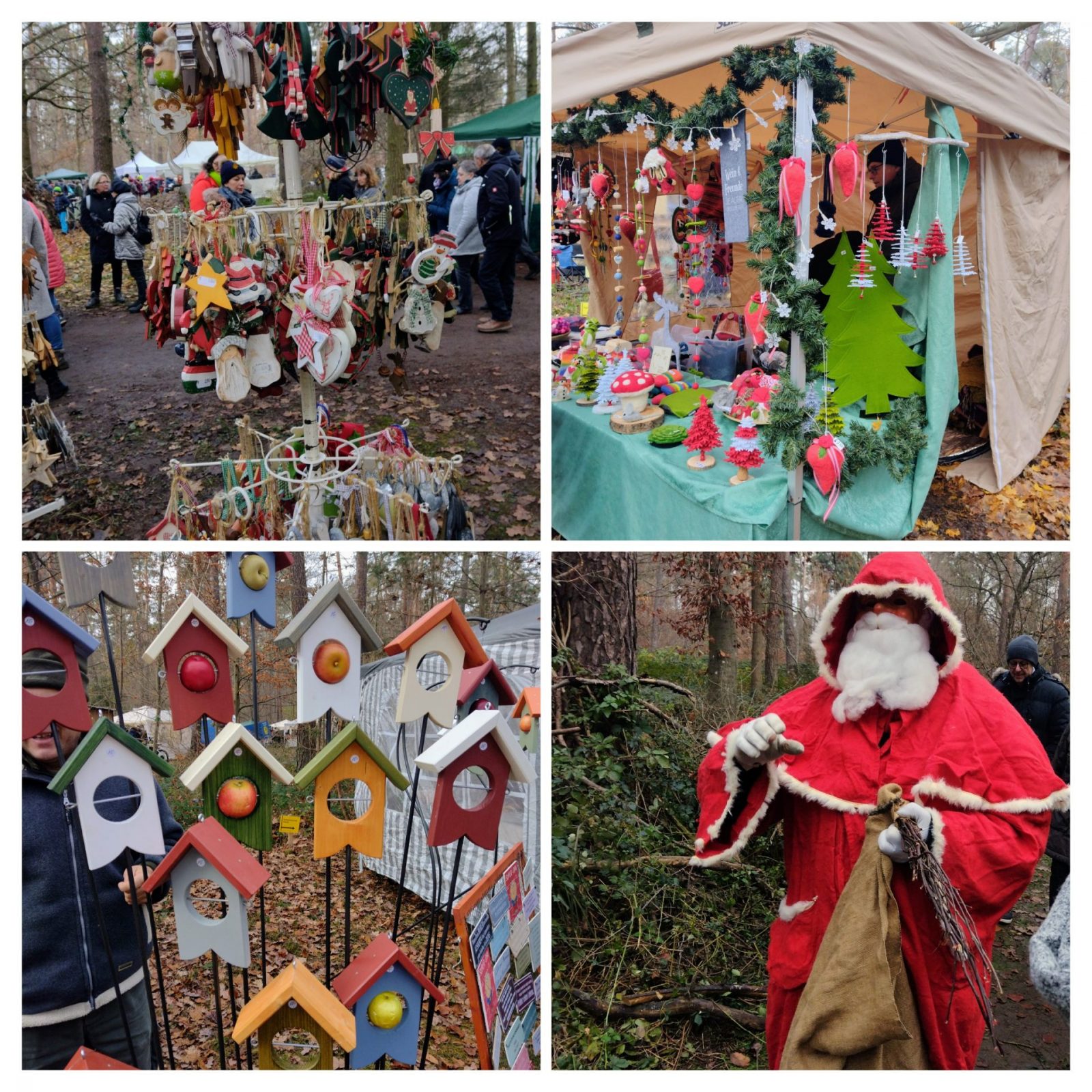 20221211_134625-COLLAGE