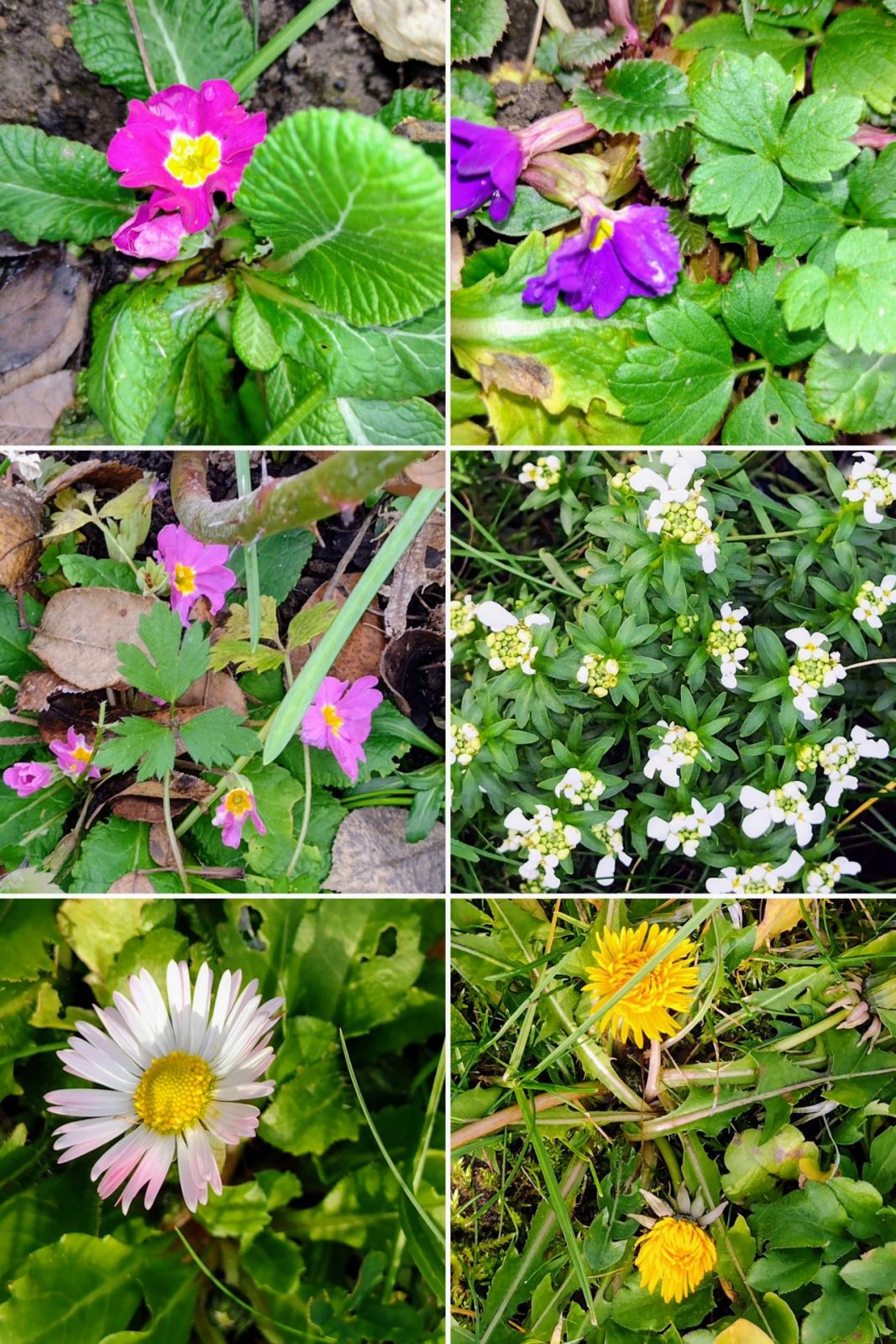 20221228_154038-COLLAGE