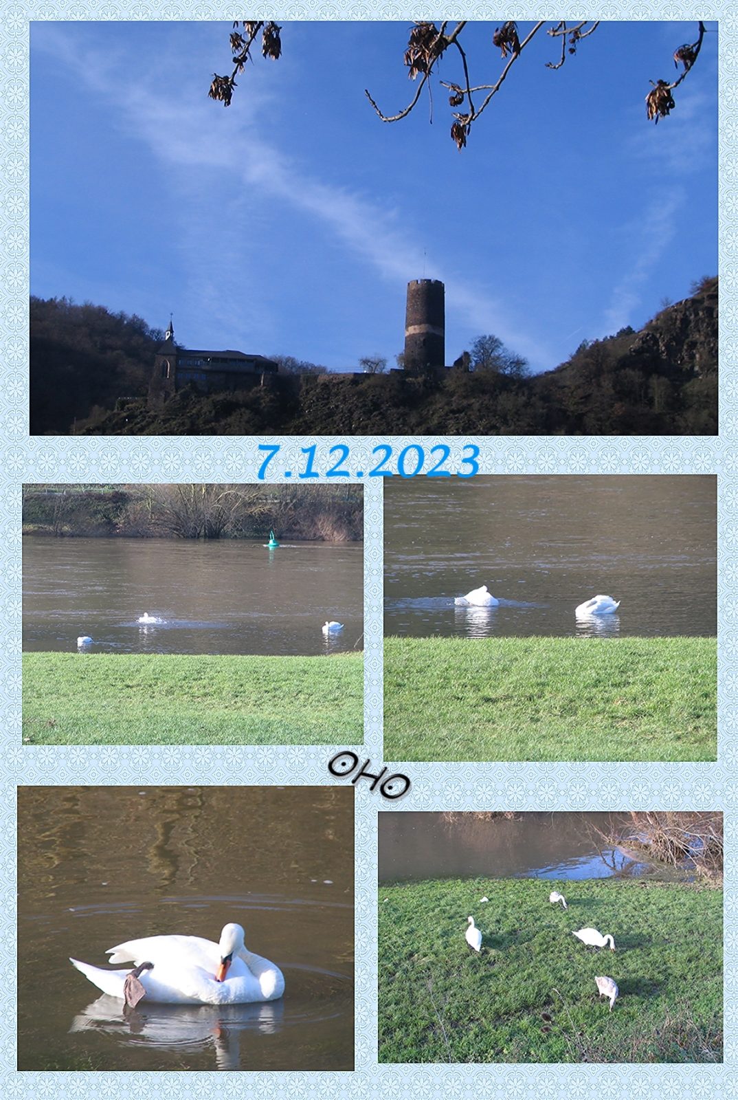 2023-12-07 - OHohe.schwan