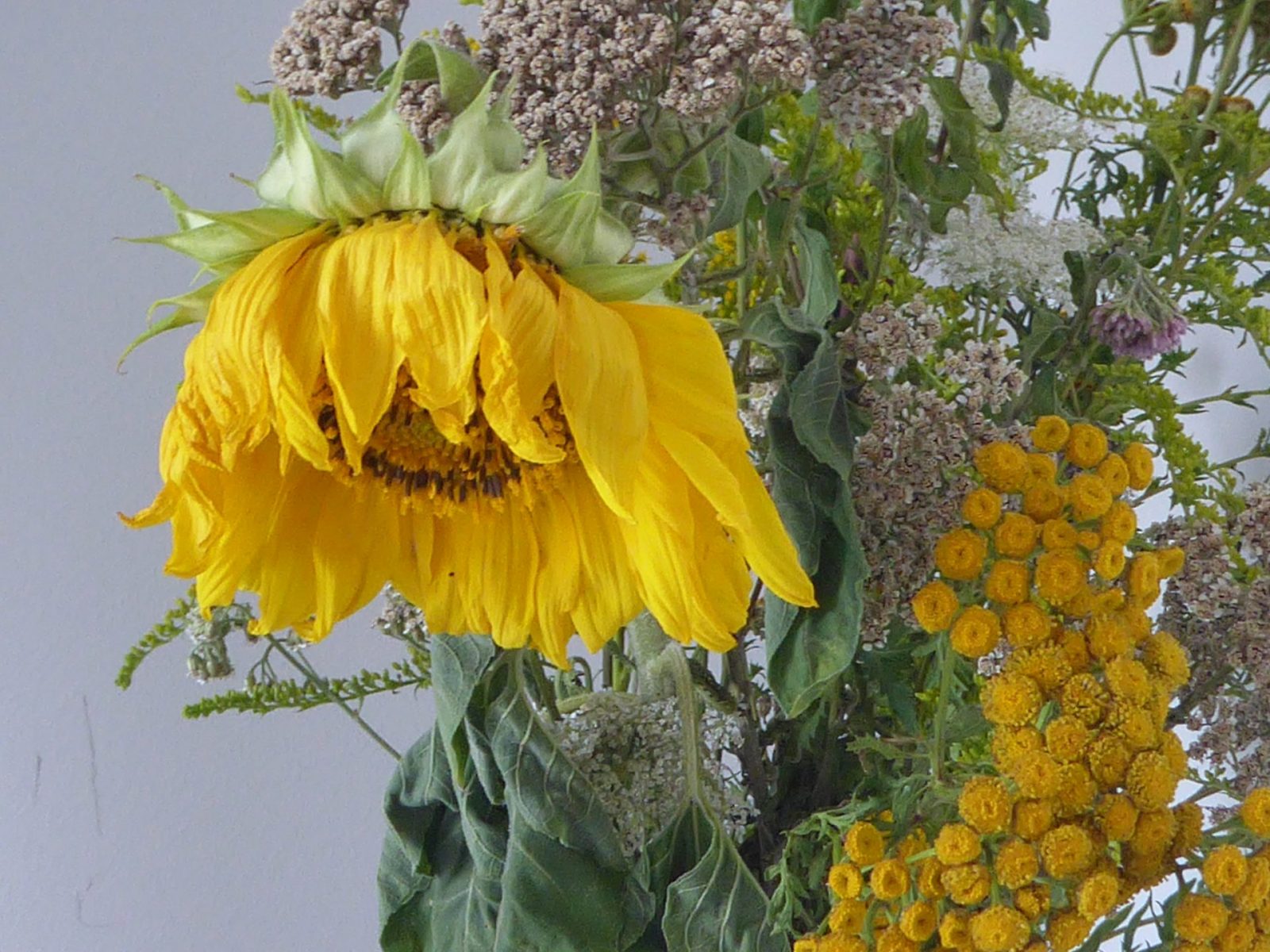 2023 ende juli bis 14 august (90)