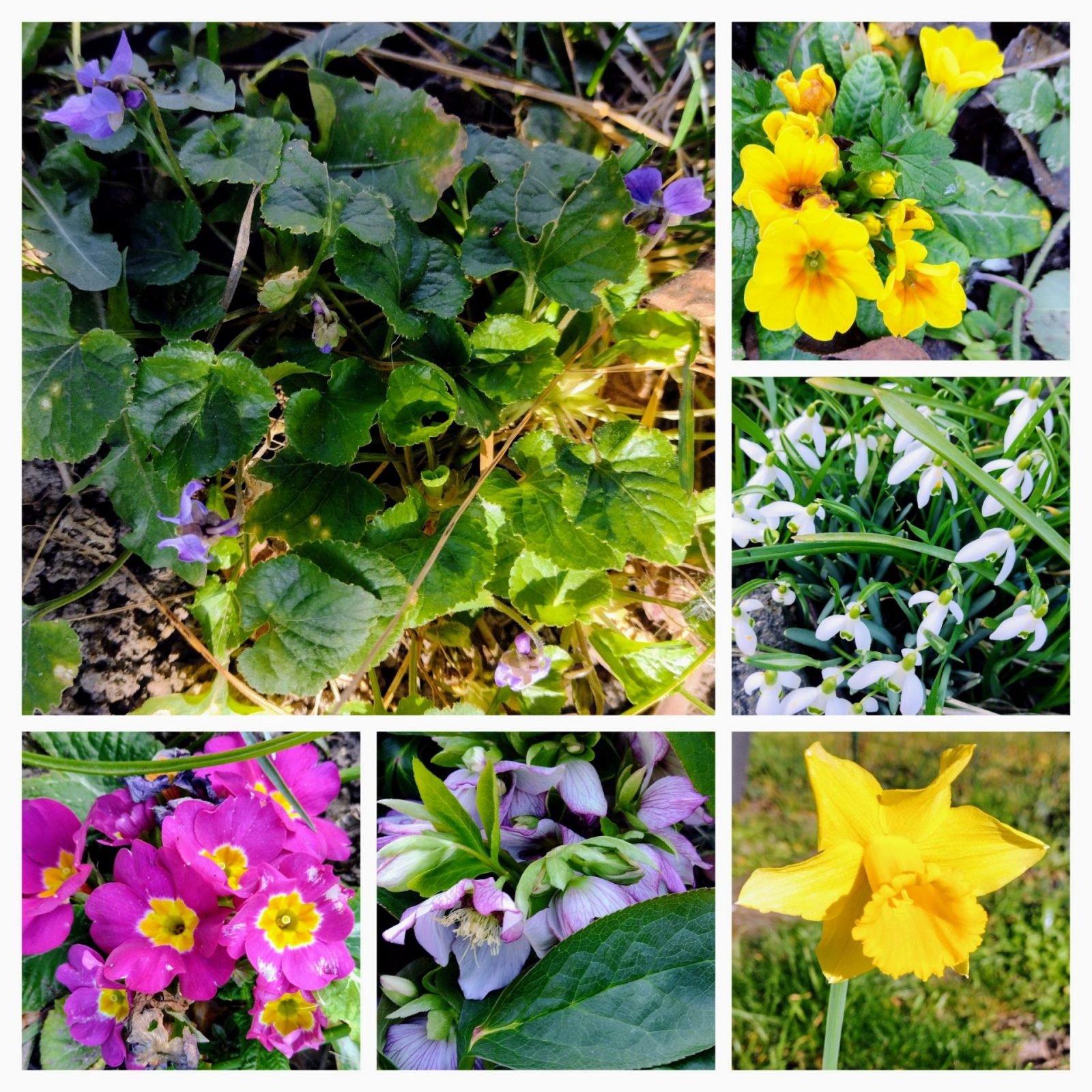 20230221_184759-COLLAGE