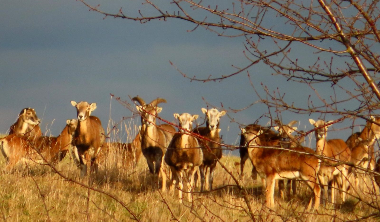 20230227153412_IMG_5198