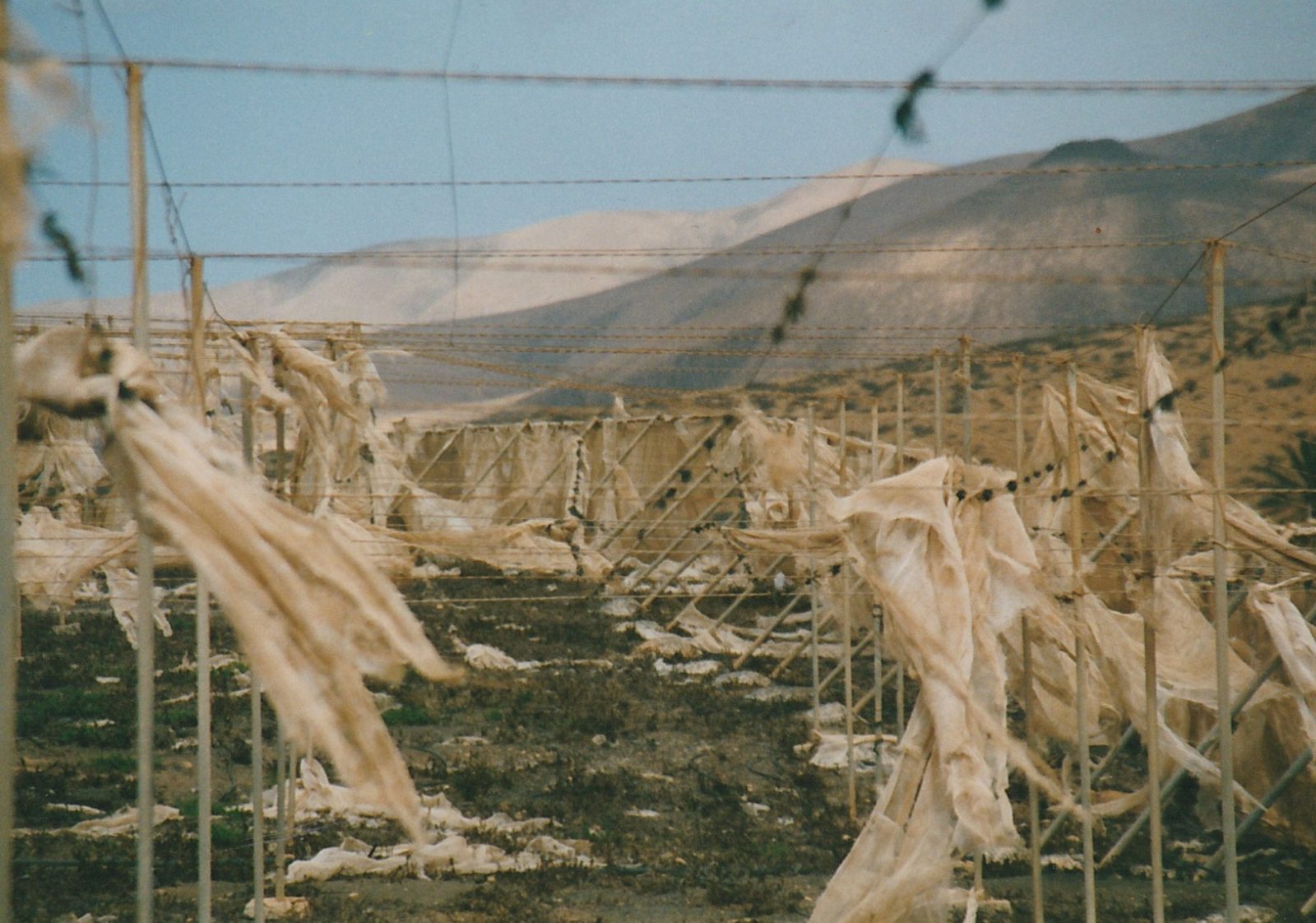 20230319014618_011~2