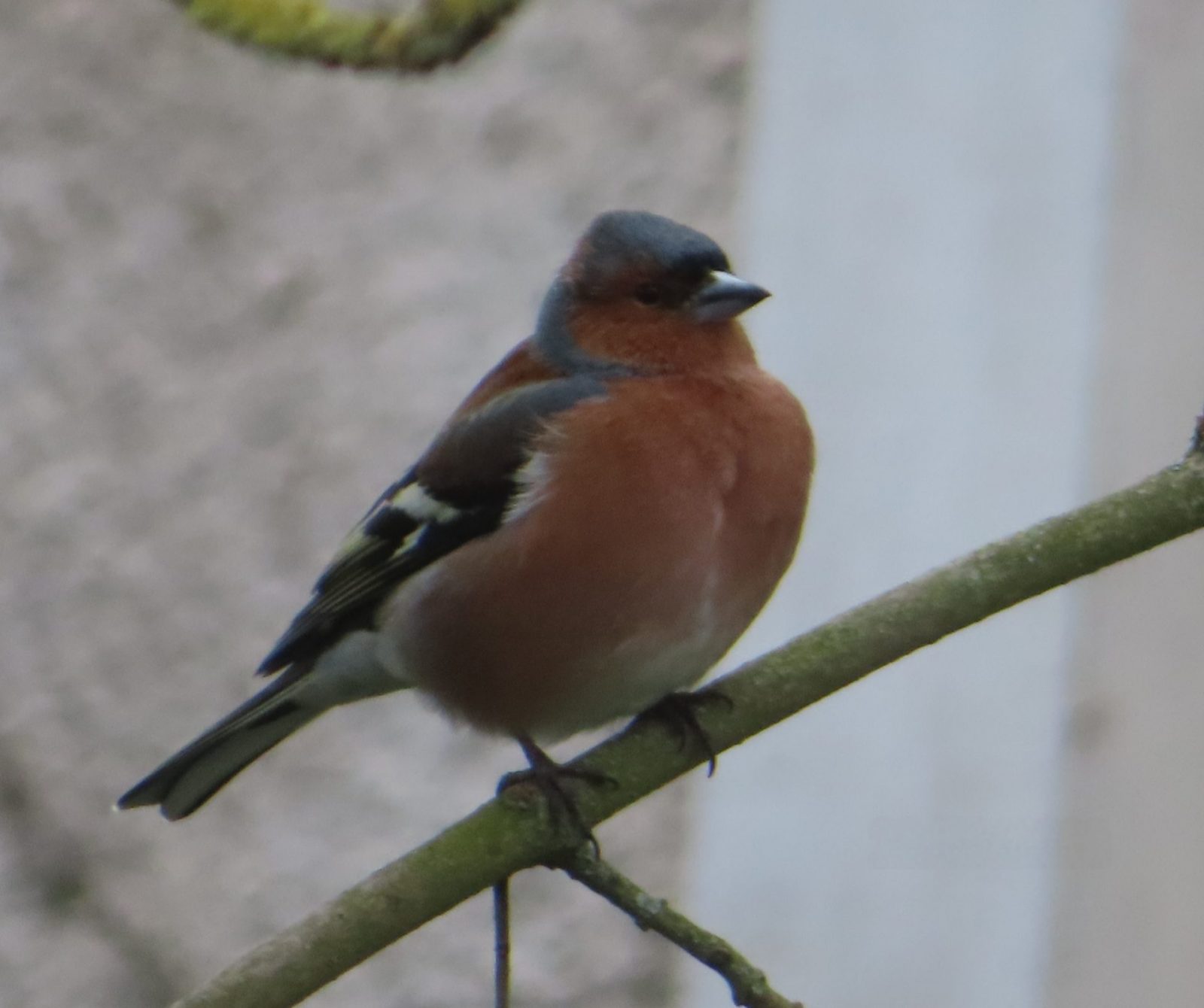 20230322133822_IMG_5988