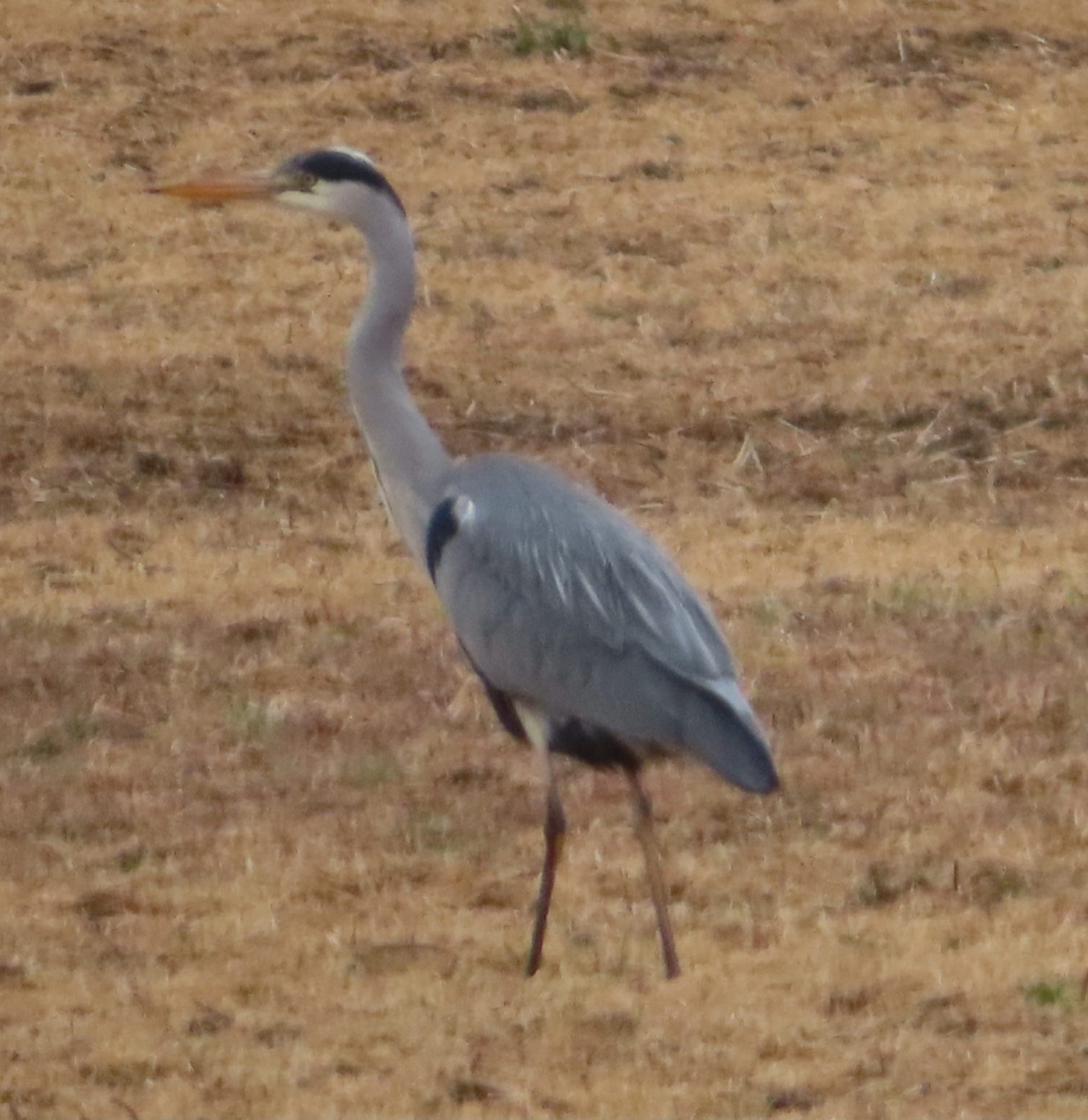 20230326150133_IMG_6200