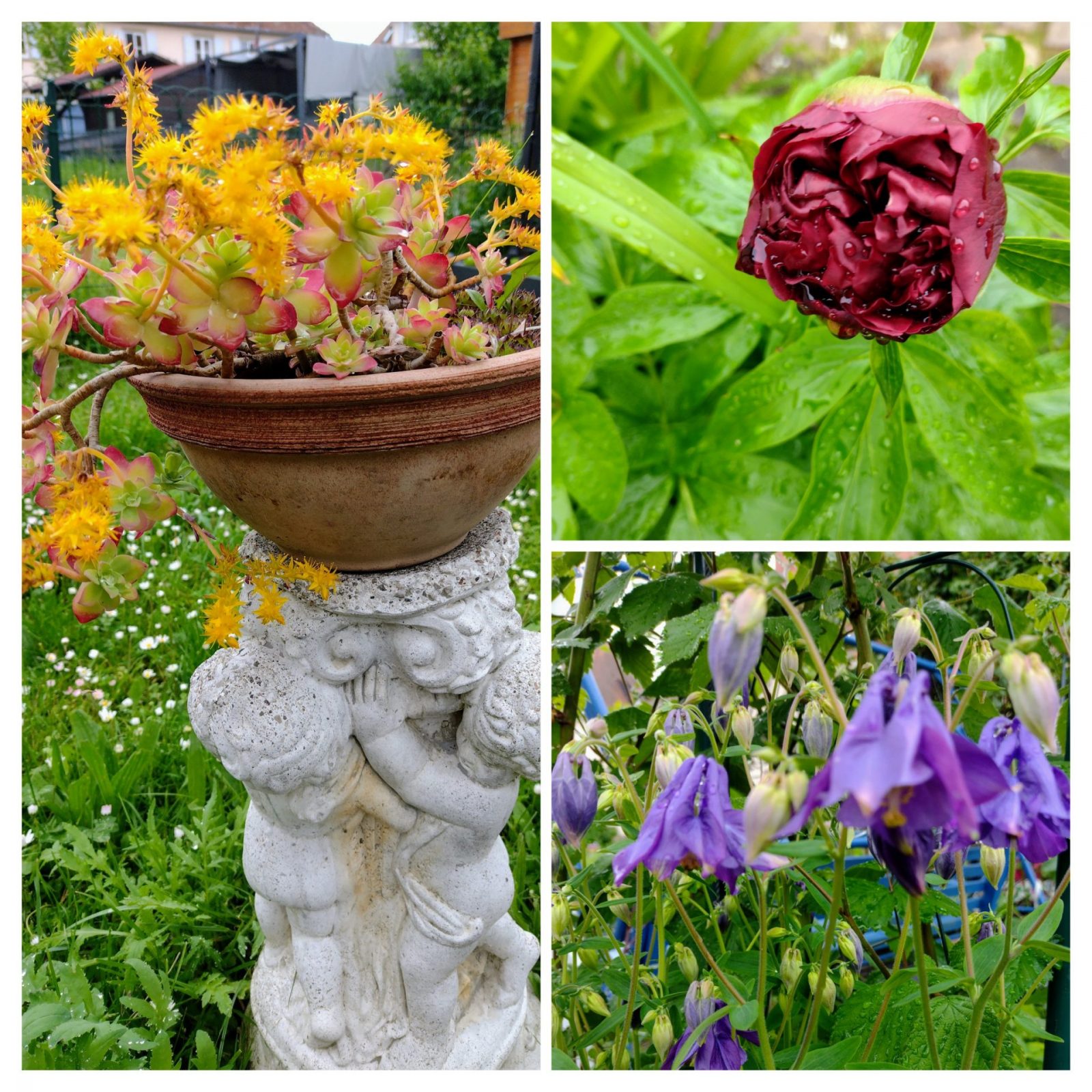 20230508_153552-COLLAGE