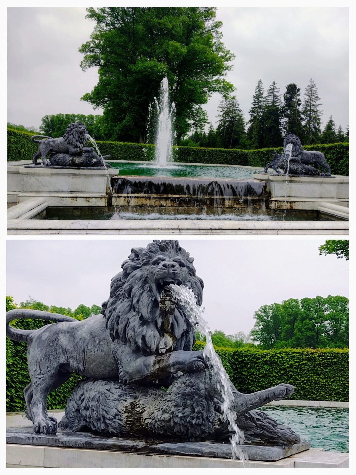 20230525_150931-COLLAGE