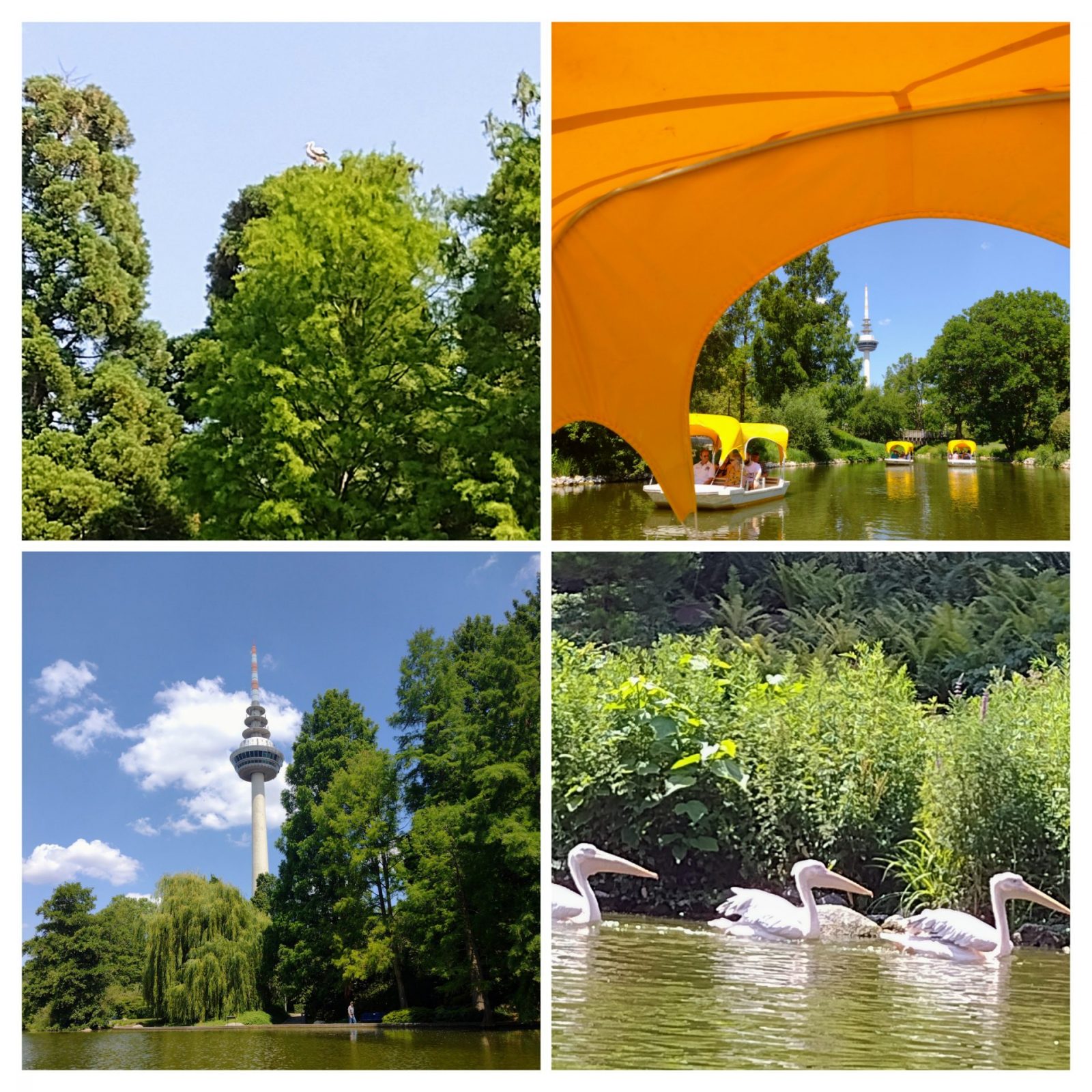 20230615_193434-COLLAGE