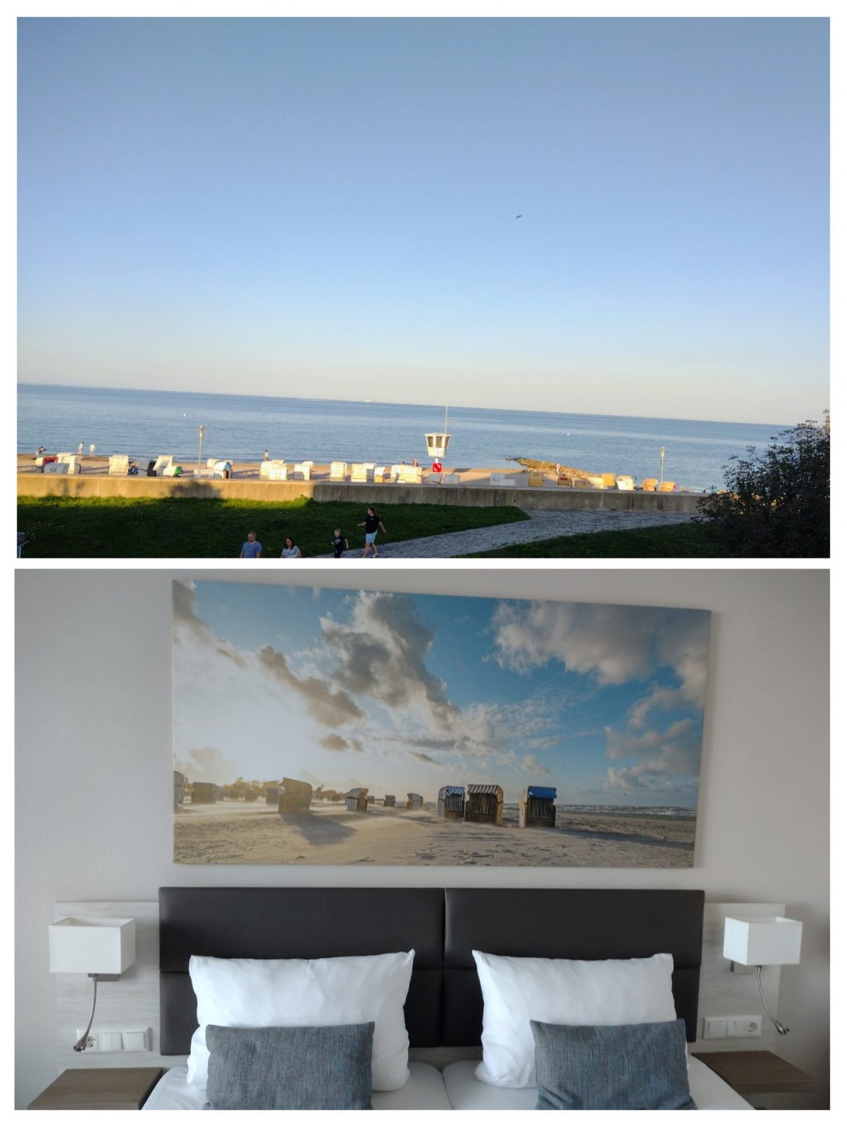 20230821_090743-COLLAGE