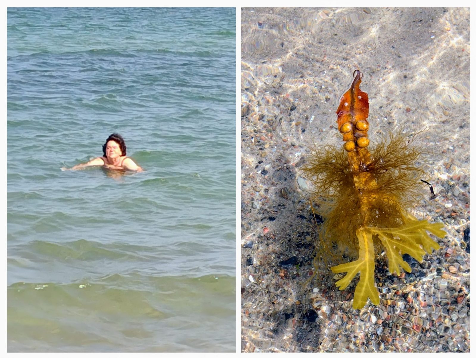 20230823_165003-COLLAGE