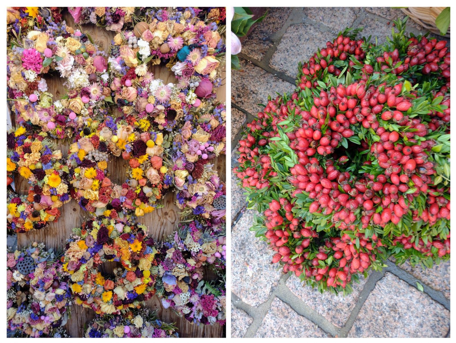 20230917_132414-COLLAGE