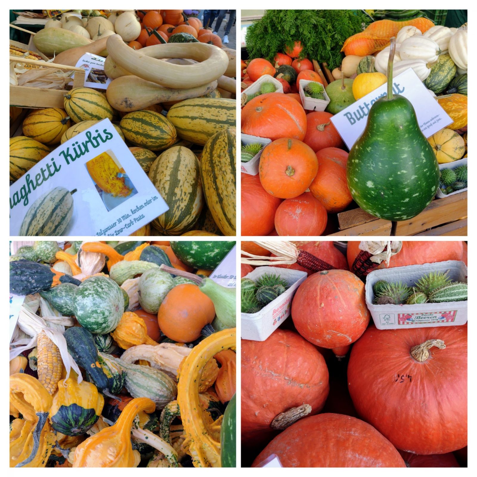 20230917_132701-COLLAGE