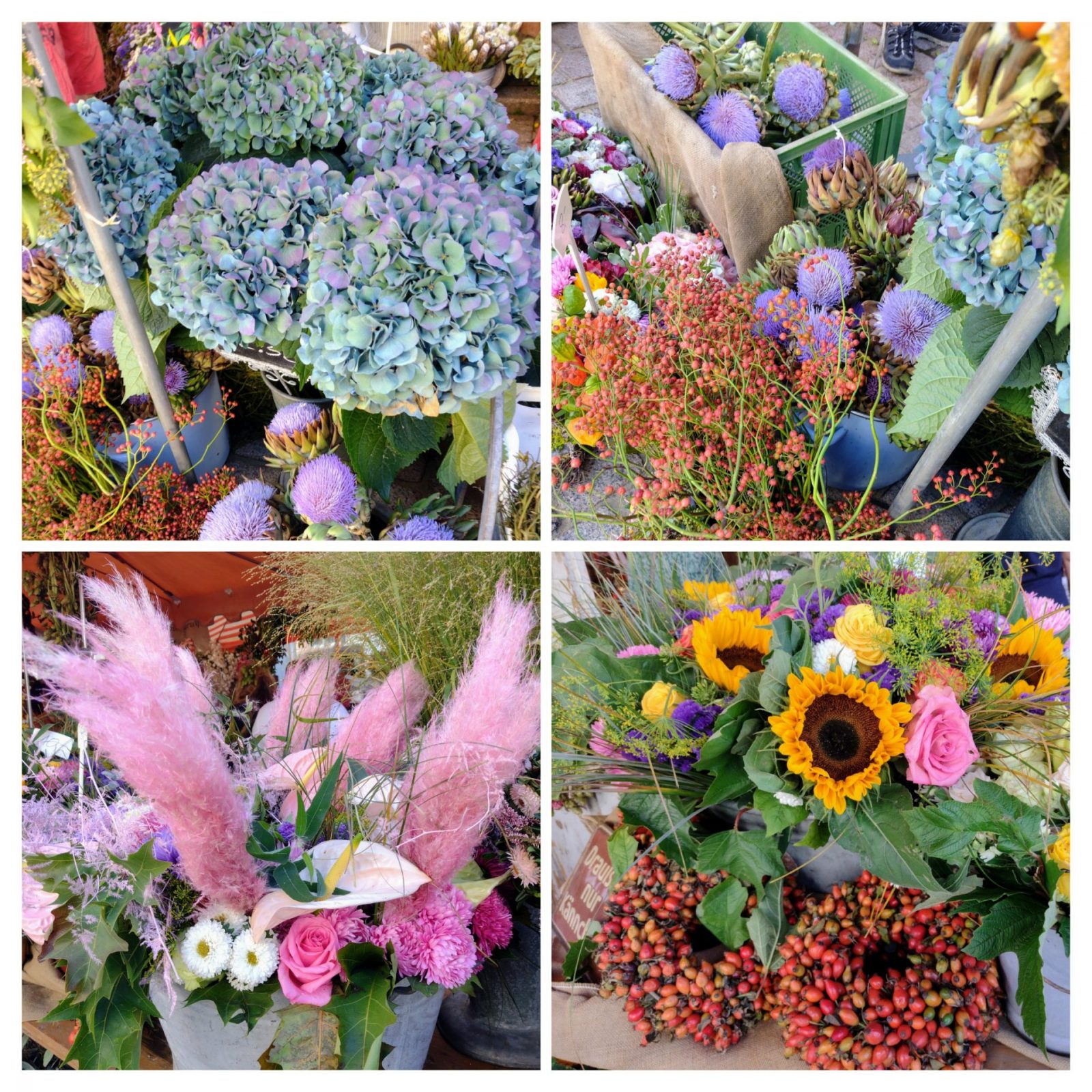 20230917_132804-COLLAGE