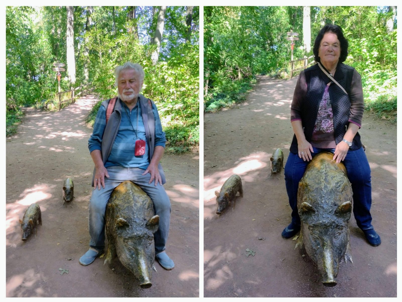 20230926_203104-COLLAGE