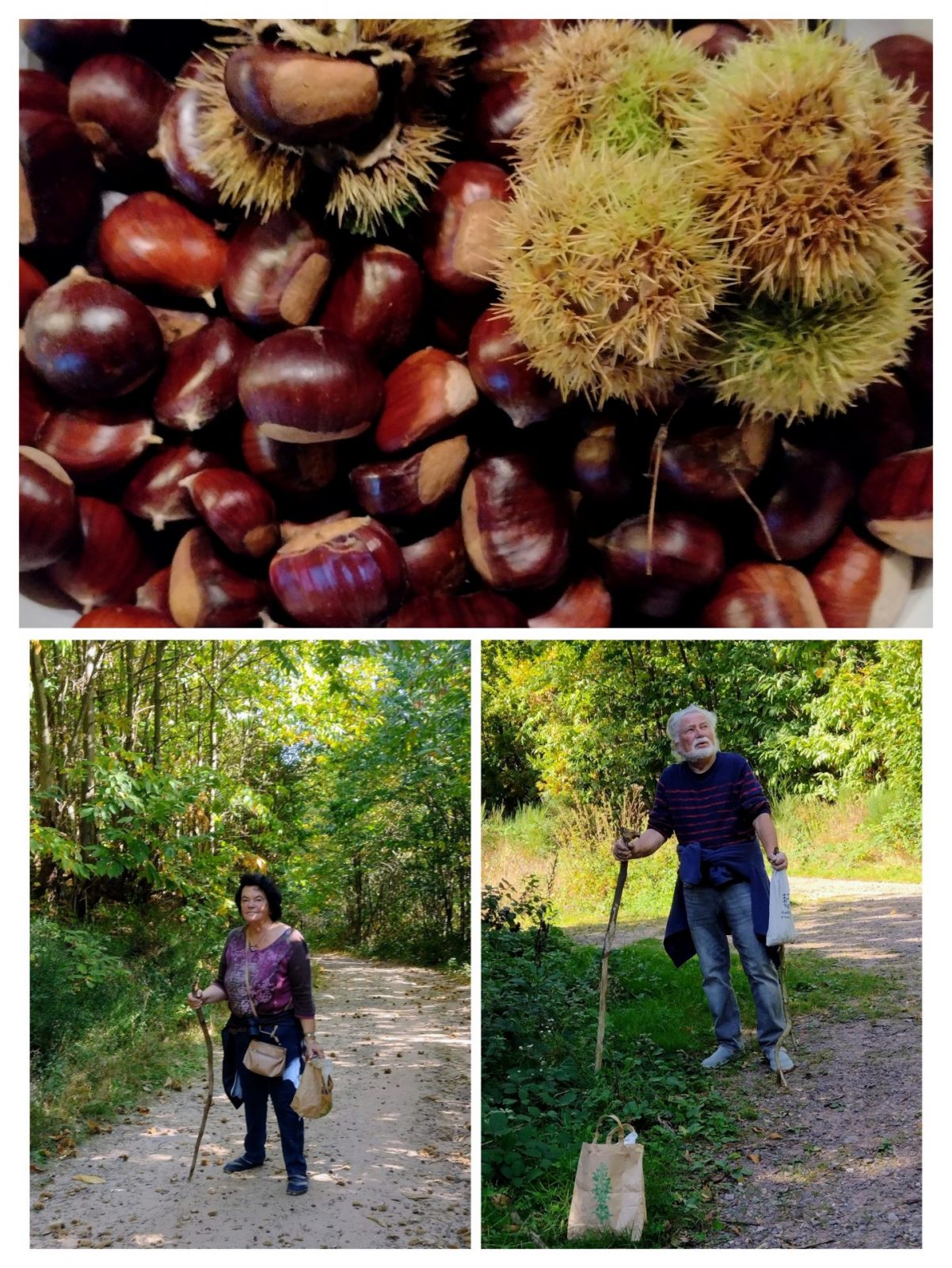 20231011_193617-COLLAGE