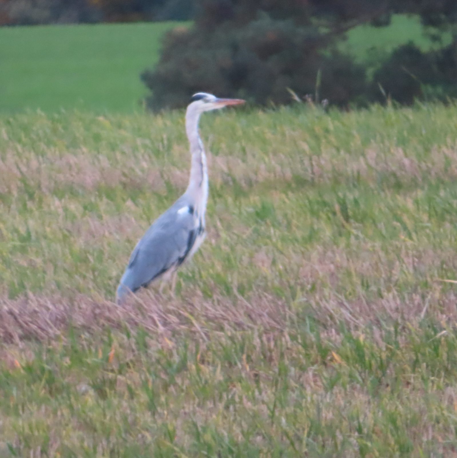 20231103134504_IMG_3910