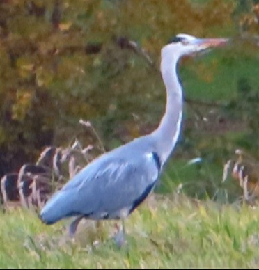 20231103134607_IMG_3914