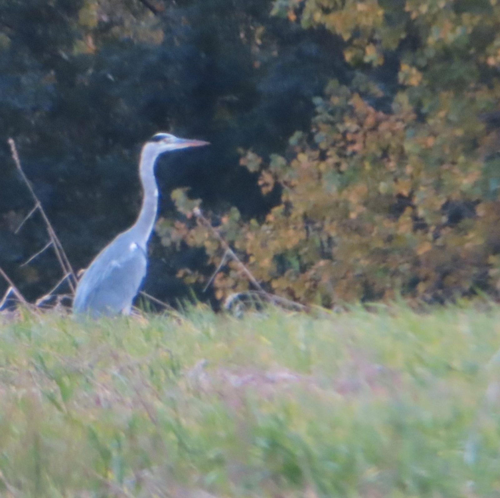 20231103134621_IMG_3919