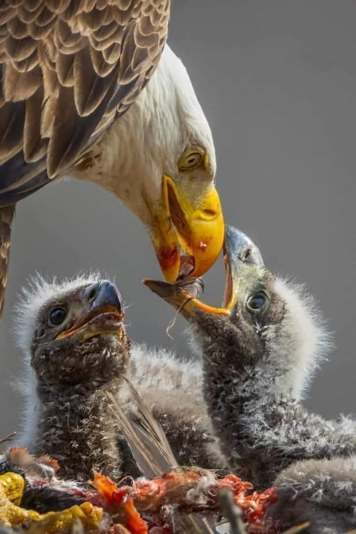 202390853_1249362128851424_6713586491997487854_n