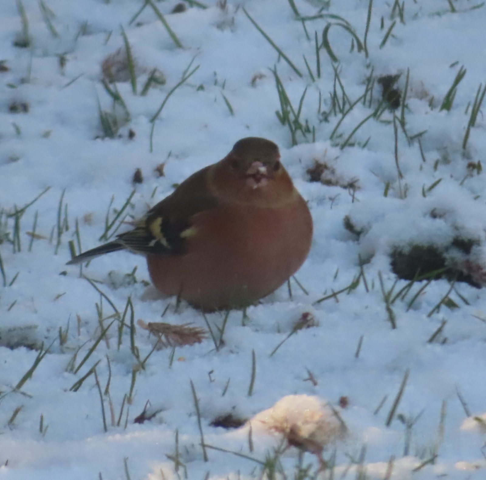 20240108132524_IMG_6141