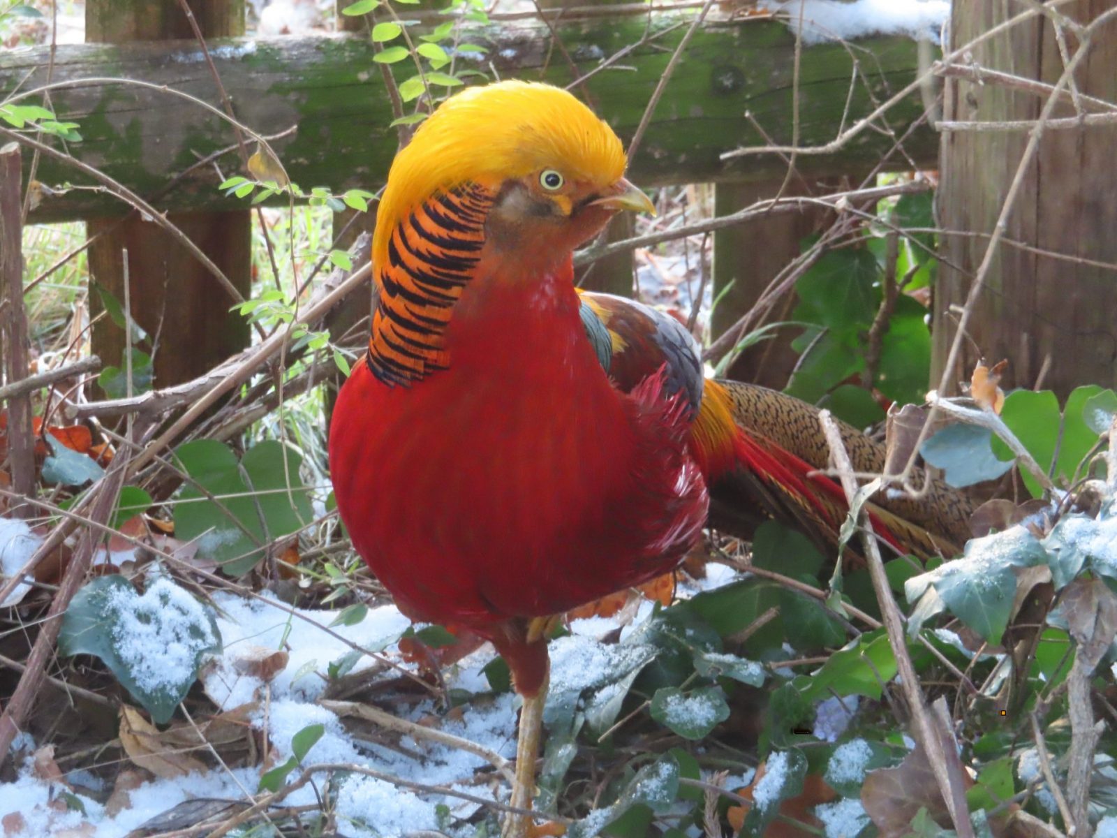 20240112144203_IMG_6466