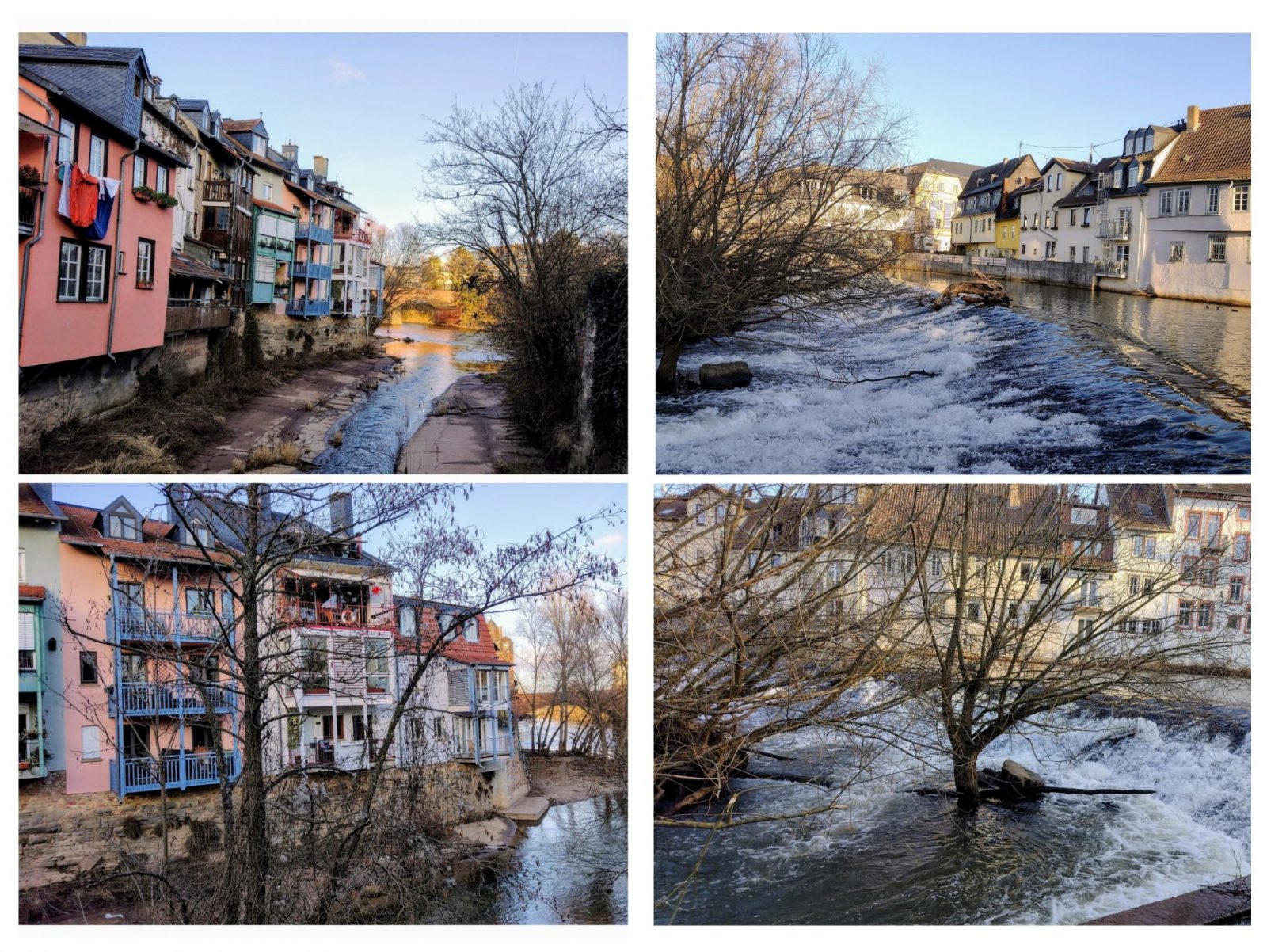 20240206_100904-COLLAGE