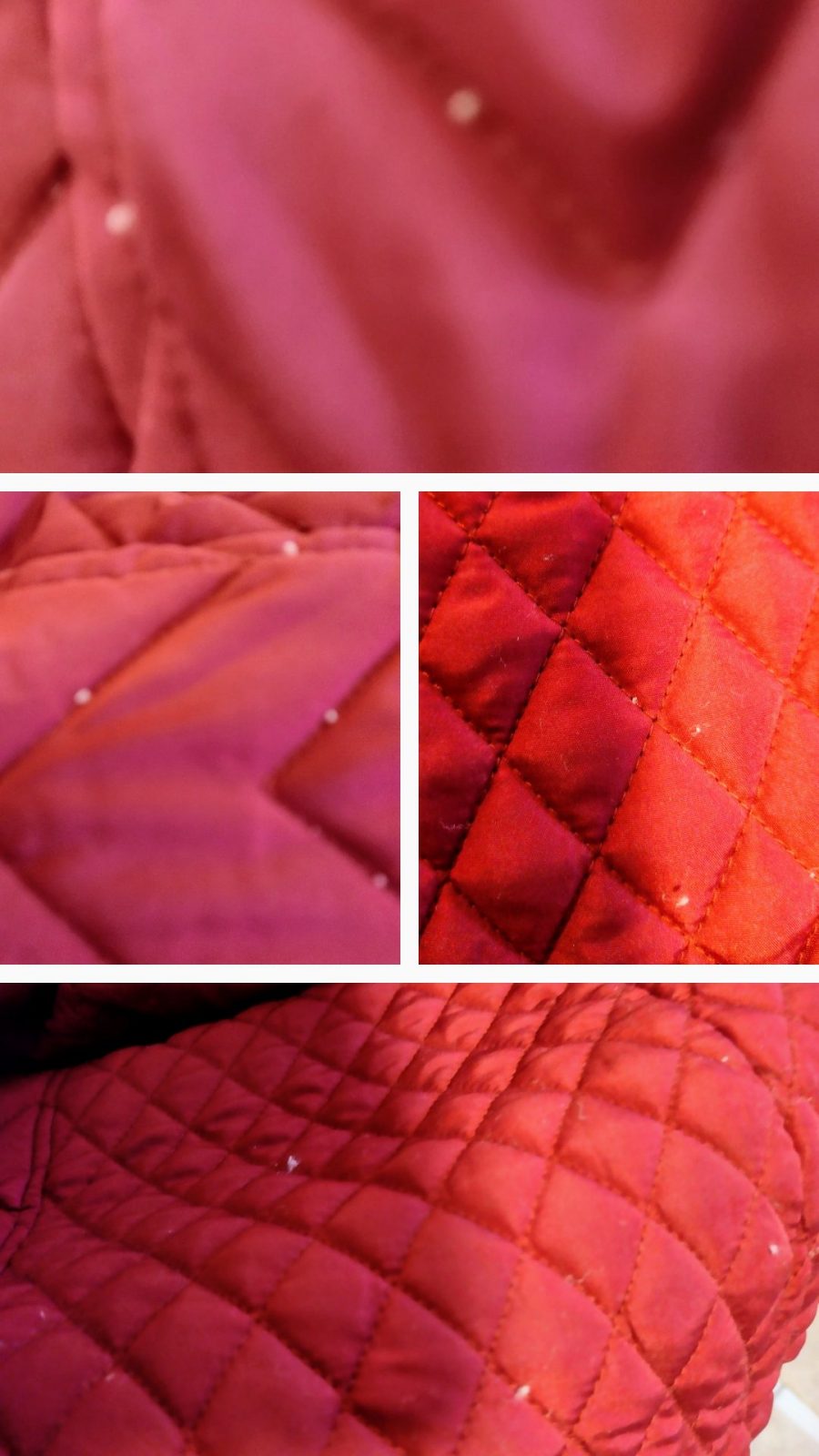 20240210_170127-COLLAGE