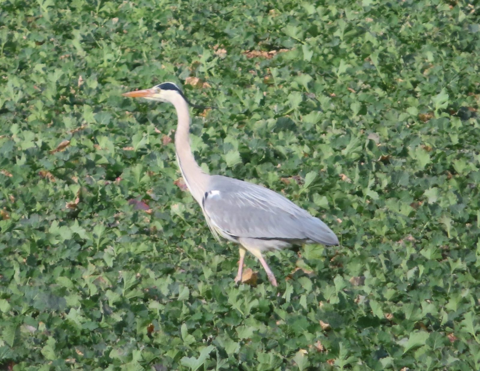 20240223124135_IMG_8059