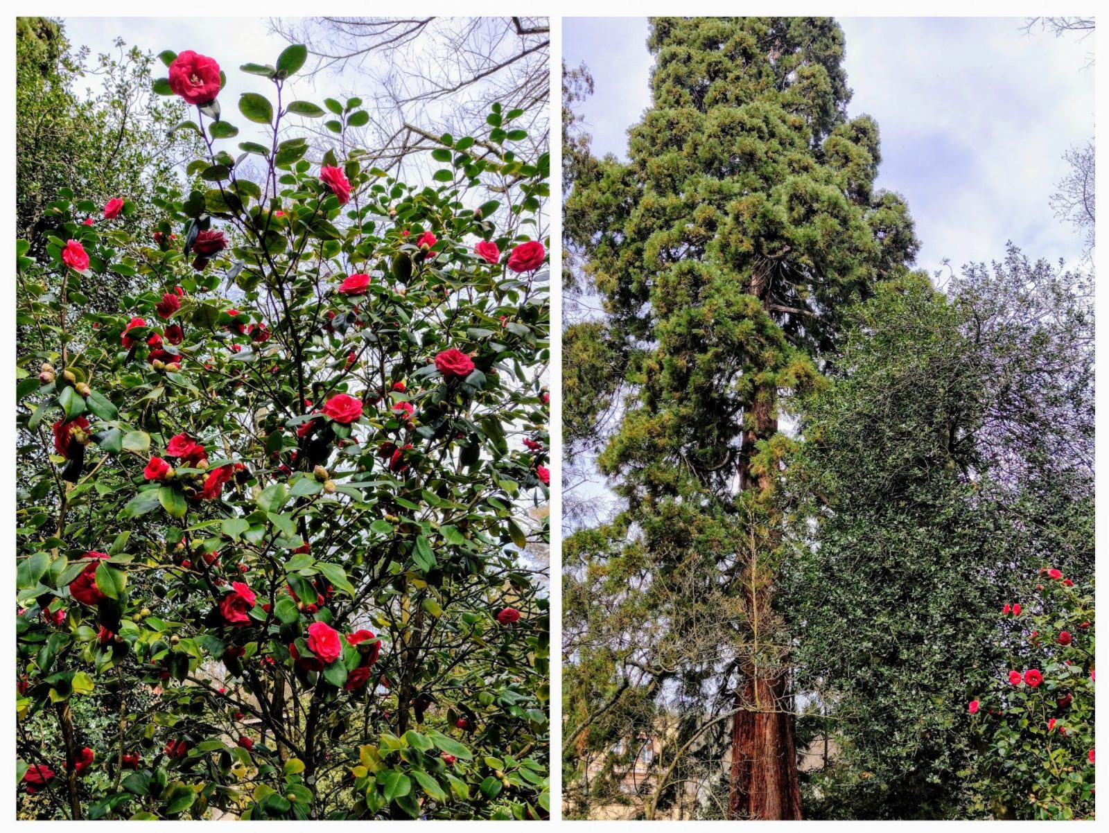 20240314_193829-COLLAGE